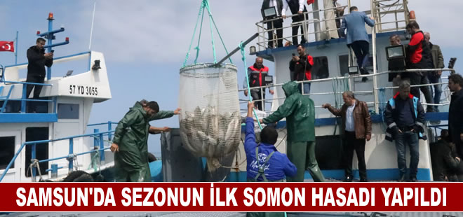 Samsun'da sezonun ilk somon hasadı yapıldı