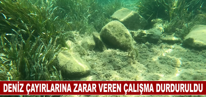 Deniz çayırlarına zarar veren çalışma durduruldu