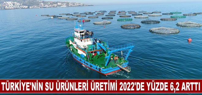 Türkiye'nin su ürünleri üretimi 2022'de yüzde 6,2 arttı