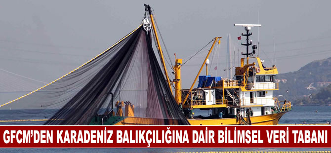 BM Akdeniz Genel Balıkçılık Komisyonundan Karadeniz balıkçılığına dair bilimsel veri tabanı