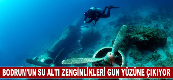 Bodrum'un su altı zenginlikleri gün yüzüne çıkartılıyor