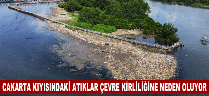 Endonezya'nın başkenti Cakarta'nın kıyısında biriken plastik atıklar çevre kirliliğine neden oluyor