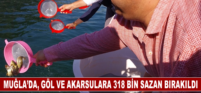 Köyceğiz'deki göl ve akarsulara 318 bin sazan bırakıldı