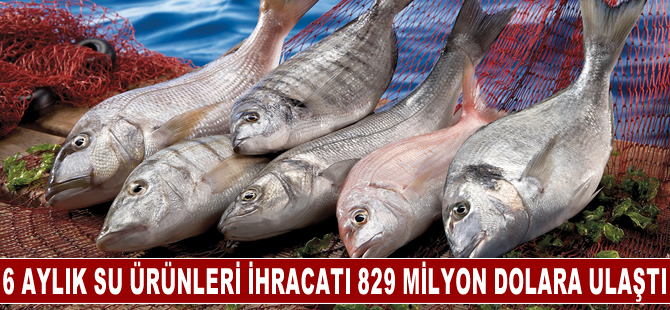 Türkiye’nin 6 aylık su ürünleri ihracatı 829 milyon dolara ulaştı