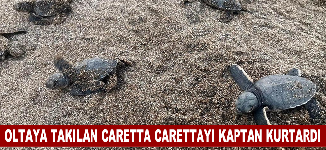 Alanya'da oltaya takılan caretta carettayı tur teknesinin kaptanı kurtardı