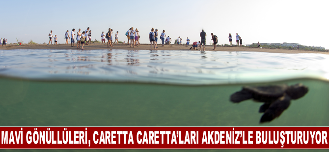 Mavi Gönüllüleri, Indigo Turtles projesi ile Caretta Caretta’ları Akdeniz’le buluşturmaya devam ediyor