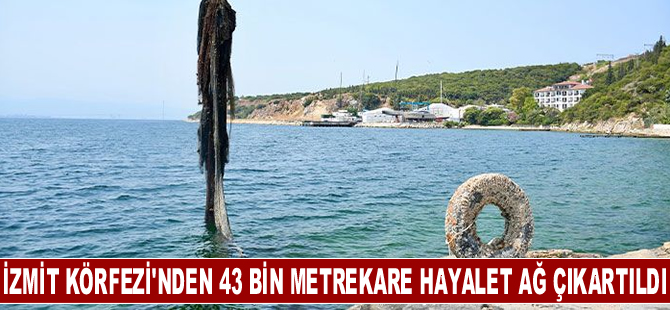 İzmit Körfezi'nden bu yıl 43 bin metrekare hayalet ağ çıkartıldı