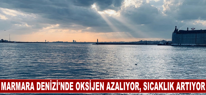 Marmara Denizi'nde oksijen azalıyor, sıcaklık artıyor