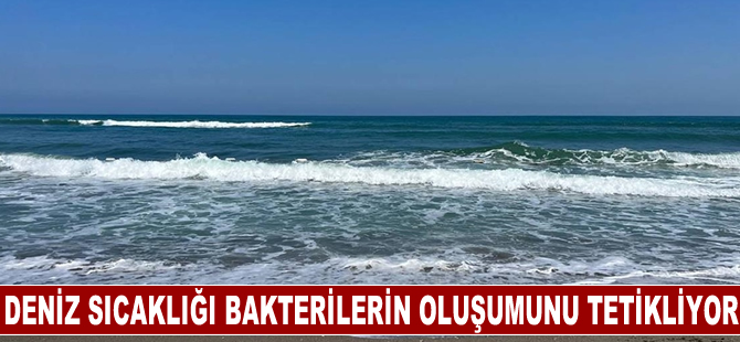 Deniz suyu sıcaklıklarındaki artış zararlı bakterilerin oluşumunu tetikliyor