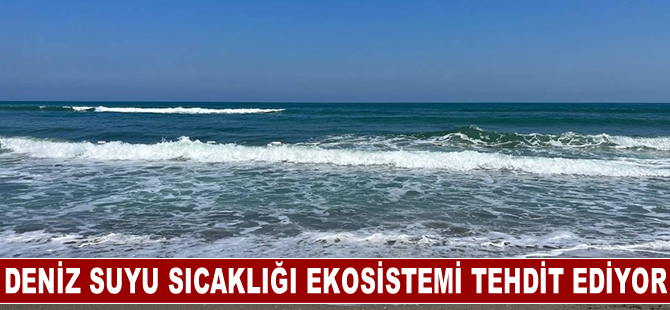 Yüksek deniz suyu sıcaklıkları denizlerdeki ekosistemi tehdit ediyor