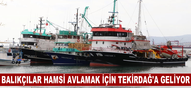 Hamsi bolluğunu duyan balıkçı av için Tekirdağ'a geliyor