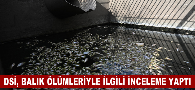 Edirne'de DSİ, kanalda balık ölümleriyle ilgili inceleme yaptı