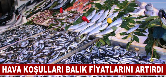 Hava koşulları balık fiyatlarını etkiledi