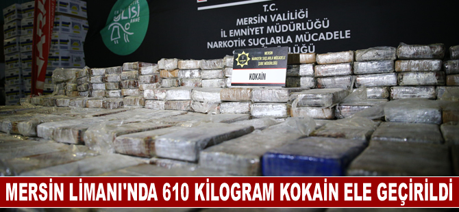 Mersin Limanı'nda 610 kilogram kokain ele geçirildi