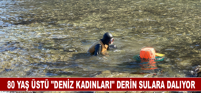 80 yaş üstü "deniz kadınları" geçimlerini derin sulara dalarak sağlıyor