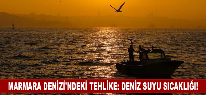 Marmara Denizi'ndeki tehlike: Deniz suyu sıcaklığı!