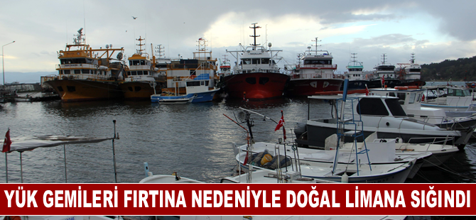 Yük gemileri fırtına nedeniyle doğal limana sığındı