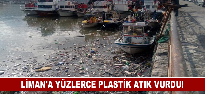 Liman’a yüzlerce plastik atık vurdu!