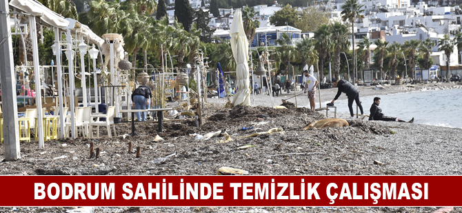 Bodrum sahilinde temizlik çalışması