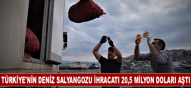 Türkiye'nin 11 aylık deniz salyangozu ihracatı 20,5 milyon doları aştı