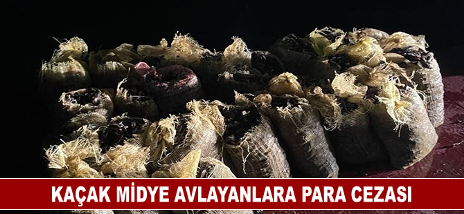 Kaçak midye avlayanlara para cezası