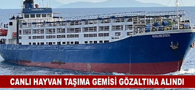 Canlı hayvan taşıma gemisi gözaltına alındı