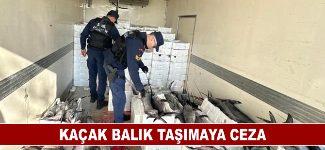 Balıkesir'de avlanması yasak olan 3 tondan fazla balık ele geçirildi