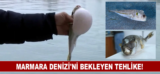 Marmara Denizi’ni bekleyen tehlike!