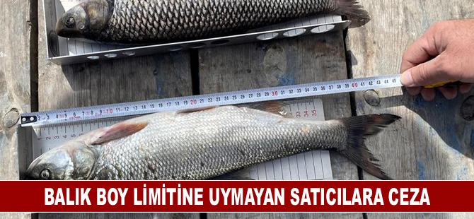 Balık boy limitine uymayan satıcılara ceza