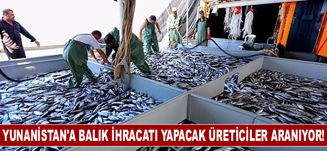 Yunanistan’a balık ihracatı yapacak Türk üreticiler aranıyor!