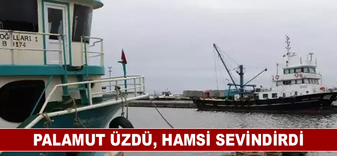 Karadenizli balıkçıları palamut üzdü, hamsi sevindirdi