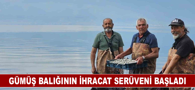 Gümüş balığının ihracat serüveni başladı