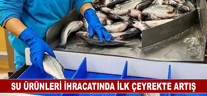 Su ürünleri ihracatında ilk çeyrekte artış