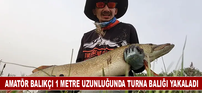 Amatör balıkçı 1 metre uzunluğunda turna balığı tuttu