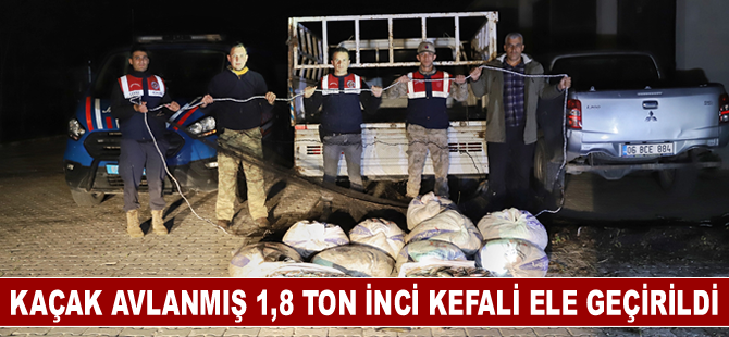 Kaçak avlanmış 1,8 ton inci kefali ele geçirildi