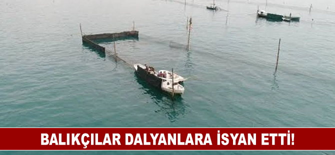 Balıkçılar dalyanlara isyan etti