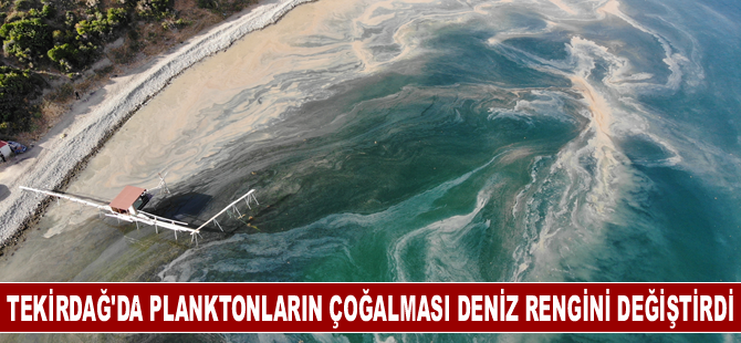 Tekirdağ'da planktonların çoğalmasıyla deniz rengi değişti