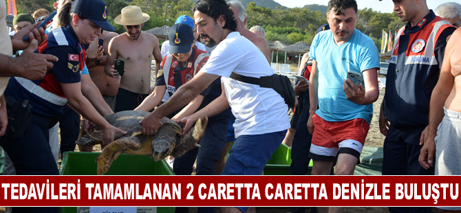 Tedavileri tamamlanan 2 caretta caretta denizle buluştu