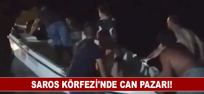 Saros Körfezi'nde can pazarı!