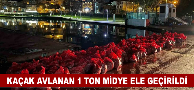 İstanbul'da kaçak avlanan 1 ton midye ele geçirildi