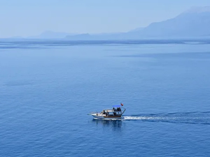 Sıcaklık artışıyla Karadeniz'e yayılan türler deniz ekosistemini tehdit ediyor