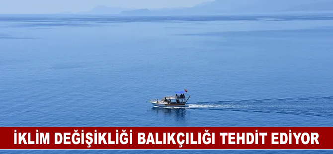 Sıcaklık artışıyla Karadeniz'e yayılan türler deniz ekosistemini tehdit ediyor