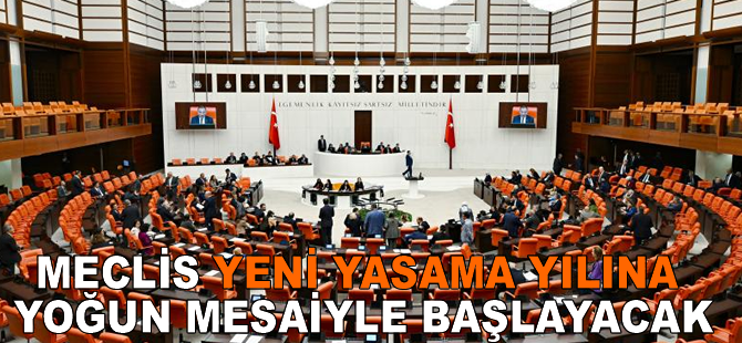 Meclis yeni yasama yılına yoğun mesaiyle başlayacak