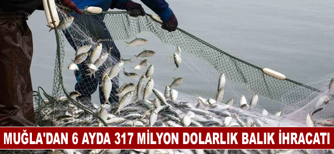 Muğla'dan 6 ayda 317 milyon dolarlık balık ihracatı