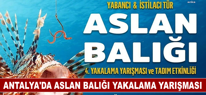 Antalya'da aslan balığı yakalama yarışması düzenlenecek