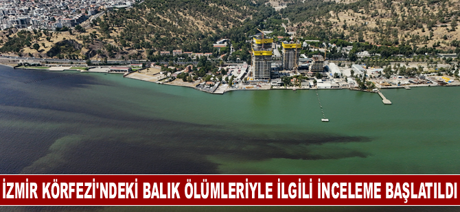 İzmir Körfezi'ndeki balık ölümleriyle ilgili inceleme başlatıldı