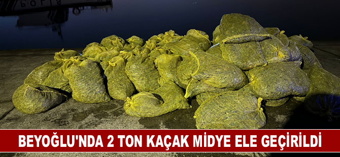 Beyoğlu'nda 2 ton kaçak midye ele geçirildi