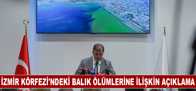 İzmir Körfezi’ndeki balık ölümlerine ilişkin açıklama