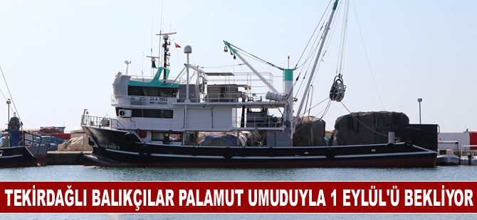 Tekirdağlı balıkçılar palamut umuduyla 1 Eylül'ü bekliyor