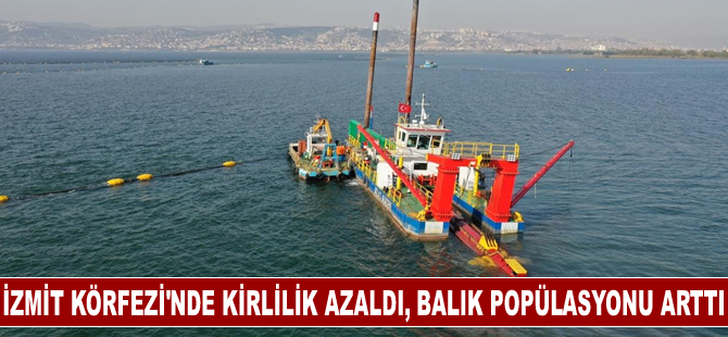 İzmit Körfezi'nde kirlilik azaldı, balık popülasyonu arttı